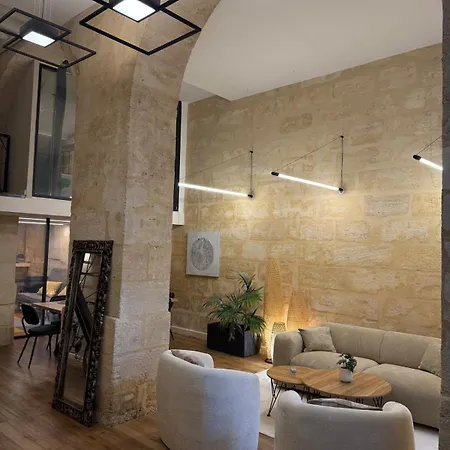 Exceptional Loft In Apartament Bordeaux