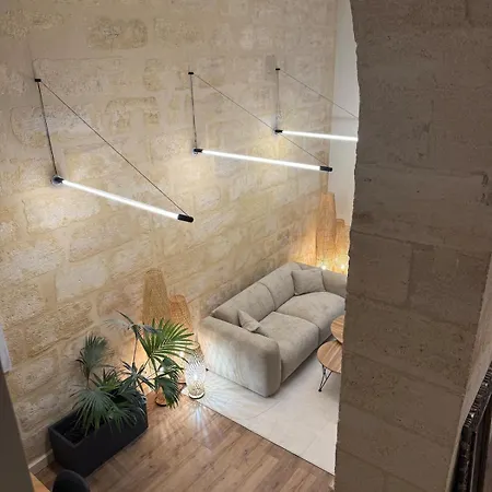Exceptional Loft In Bordeaux